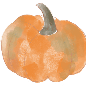 Piltown pumpkins, pick your now pumpkins near me, Ireland, Dublin, pumpkin patch Dublin. Pumpkins for sale. Buy pumpkins. Maize maze. Days out. Family activities, pumpkins, pumpkin carving.
