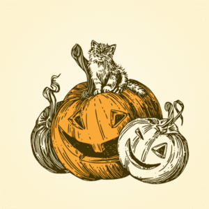 Piltown pumpkins, pick your now pumpkins near me, Ireland, Dublin, pumpkin patch Dublin. Pumpkins for sale. Buy pumpkins. Maize maze. Days out. Family activities, pumpkins, pumpkin carving.